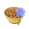 Top 20 Incredible Health Benefits of Flax Seeds