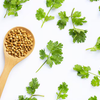 Coriander vs. Cilantro: What’s the Difference and How to Use Them?